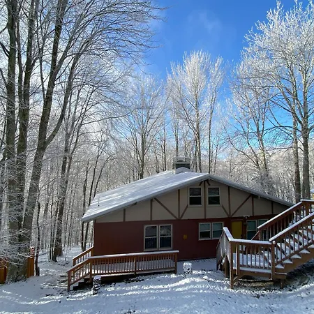 Cozy Cabin With Boosted Wi-Fi